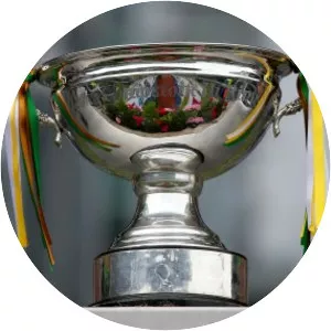 Christy Ring Cup photograph