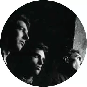 intelligence dept. chromagain