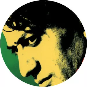 Chronicle of a Disappearance