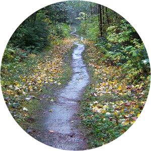 Chuckanut Mountain Park