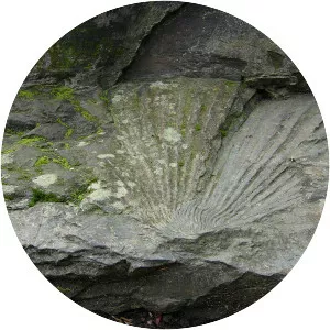 Chuckanut Mountains - 