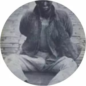 Chufan Peng - Revolutionary