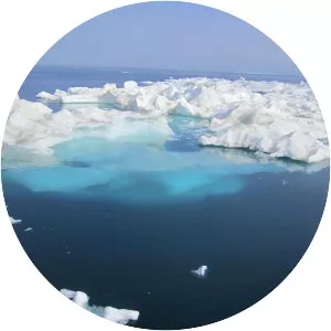 Chukchi Sea photograph