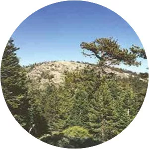 Chumash Wilderness - 