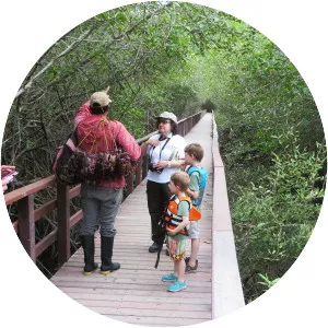 Churute Mangroves Ecological Reserve