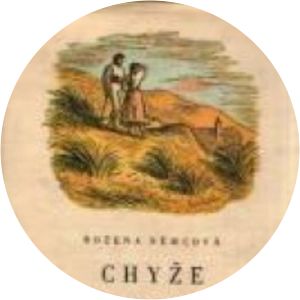 Chyže pod horami - Book by Bozena Nemcova