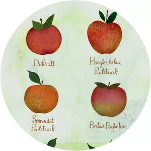 Cider apple photograph