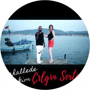 Çılgın Sertaç - Musical artist