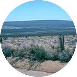 Cima Dome & Volcanic Field National Natural Landmark - Volcanic field in California