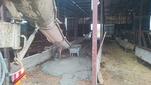 Cinarkopru Koyu Muhtarligi - National forest in Cinarkopru