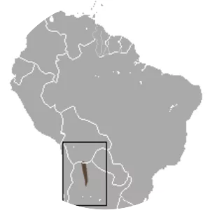 Cinderella fat-tailed mouse opossum