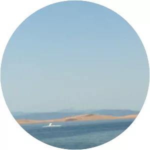 Çıplak Island (Çıplak Ada Adası)