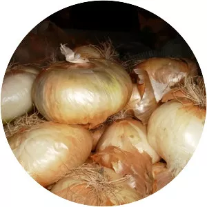 Cipolla di Giarratana