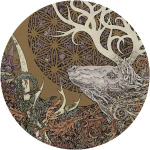 Circle Takes the Square