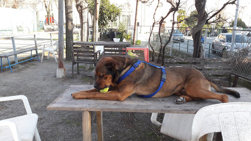 Circolo Ricreativo Belvedere - Cultural center in Genoa, Italy