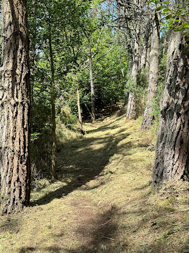 Circuito Permanente XCO Monte Pousadoiro