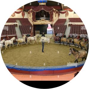 Circus Krone Building