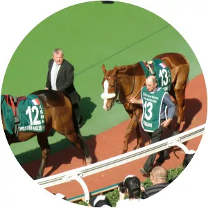 Cirrus des Aigles