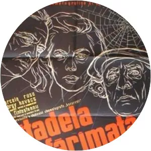 Citadela sfărîmată