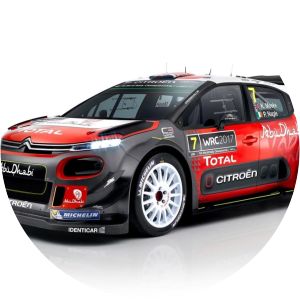 Citroen Abu Dhabi WRT photograph