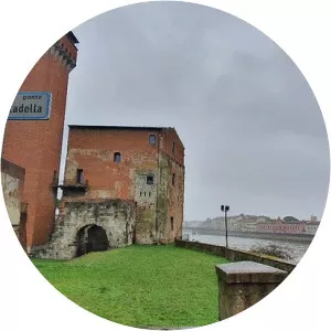 cittadella pisa