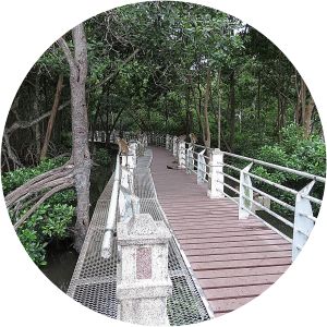 City Mangrove Park