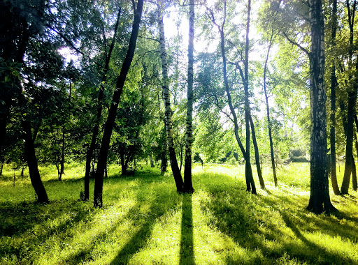 City Park Recreation - Amusement park in Mytishchi, Russia