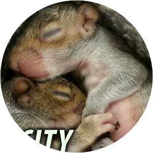 City Wildlife Rescue - TV program