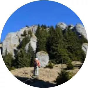 Ciucaș Peak (Ciucaș)