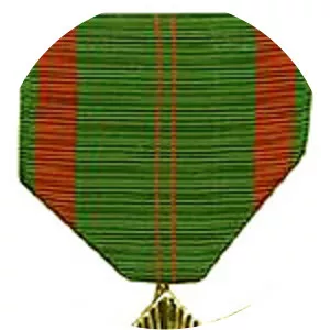 Civil Actions Medal
