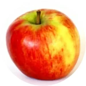Civni apple