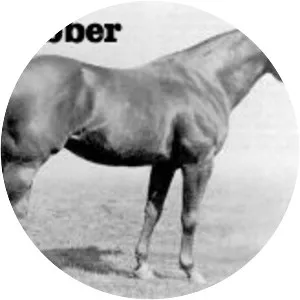 Clabber - Horse