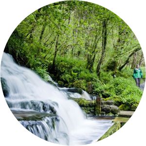 Cladagh Glen National Nature Reserve