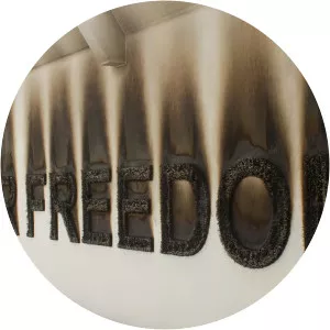 Claire Fontaine - Visual artist