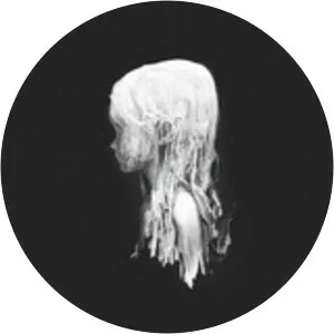 CLANN - Musical band