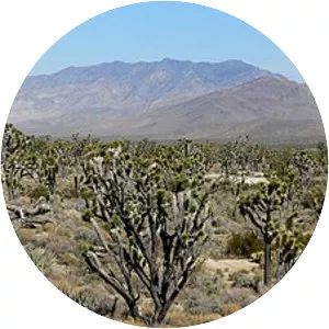 Clark Mountain Range