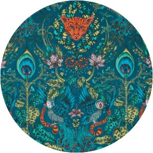 Clarke & Clarke - Company