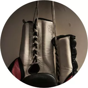 Classic Fights Boxing