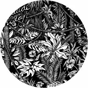 Claude Rodap - Musical artist