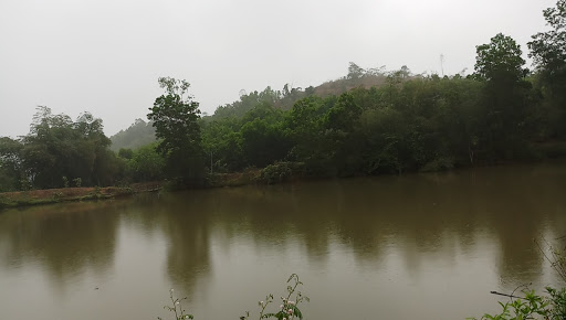 Clean Fruit Farm photograph