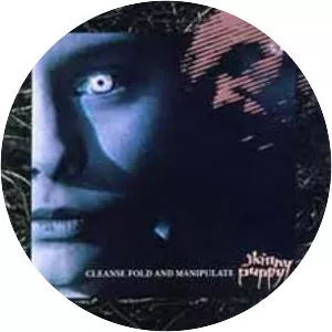 Cleanse Fold and Manipulate