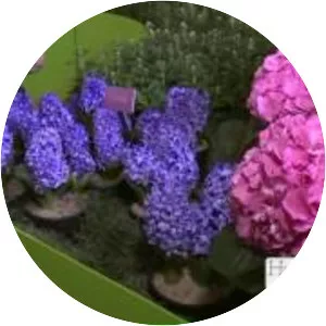 Cleveland Botanical Garden - 