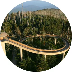Clingmans Dome - Mountain in North Carolina