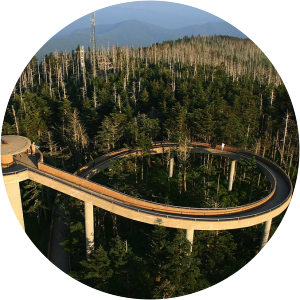 Clingmans Dome Road - 