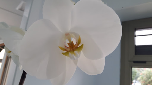 Clinica dental Marfel - Dentist in Carino, Spain