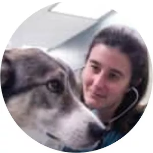 Clinically Wild: Alaska - TV program