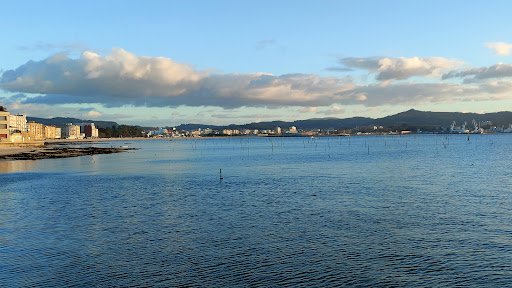 CLINICAS DENTAL CARRIL.CB