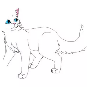 Cloudtail - Fictional character