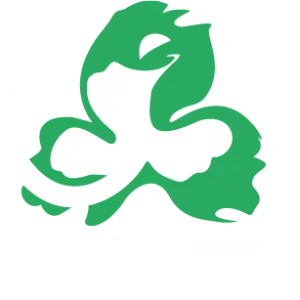 Clover Bite - Video game developer