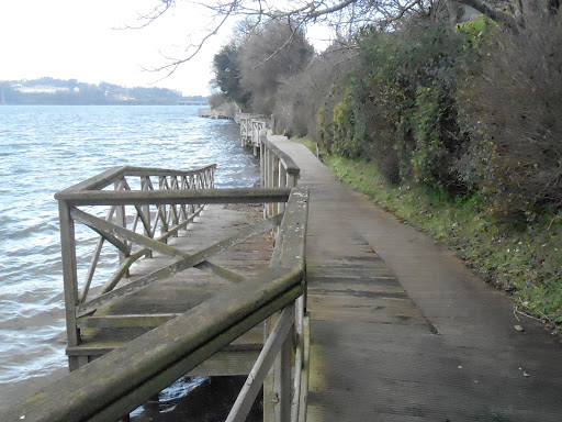 Club Ximnasia Ferrolterra - Sports club in Spain